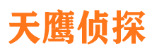 南阳侦探公司